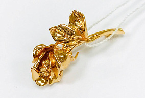 Золотая брошь